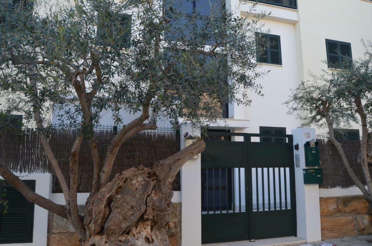 Tramuntana&Beach Pollensa Exterior foto